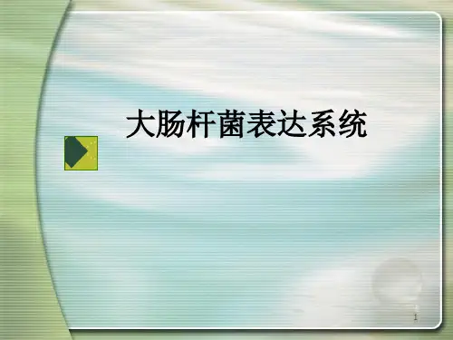 大肠杆菌表达系统详细表格