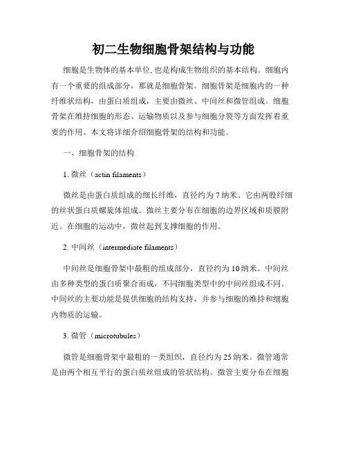 初二生物细胞骨架结构与功能
