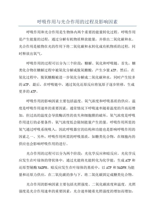 呼吸作用与光合作用的过程及影响因素