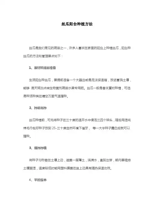丝瓜阳台种植方法