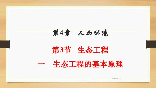 4.3.1 生态工程的基本原理(教学课件)-高二上学期生物人教版选择性必修2