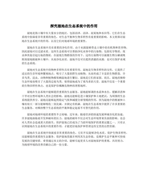 探究湿地在生态系统中的作用