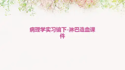 病理学实习镜下-淋巴造血课件
