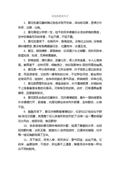 昙花的优美句子