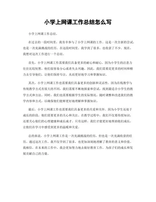 小学上网课工作总结怎么写