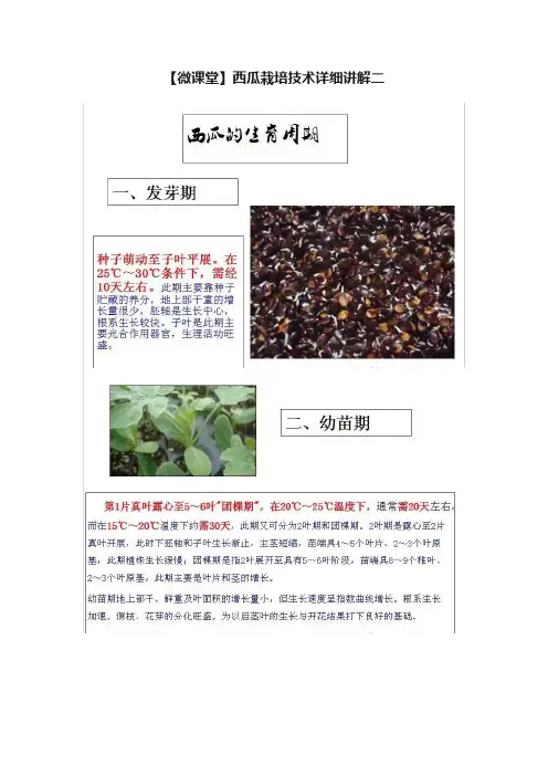 【微课堂】西瓜栽培技术详细讲解二