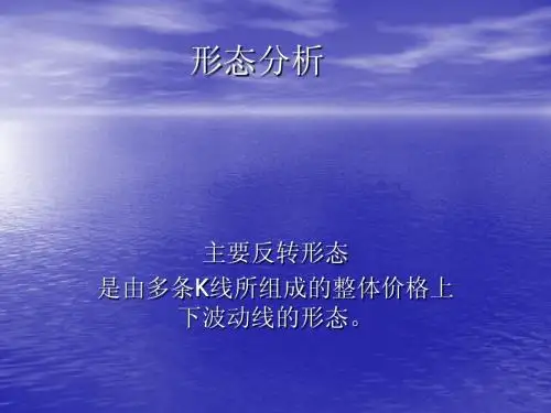 形态分析
