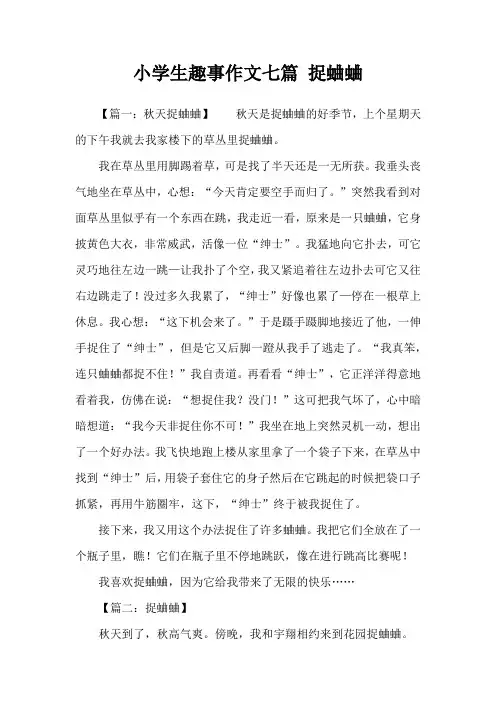 小学生趣事作文七篇 捉蛐蛐