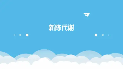 人体的新陈代谢ppt课件