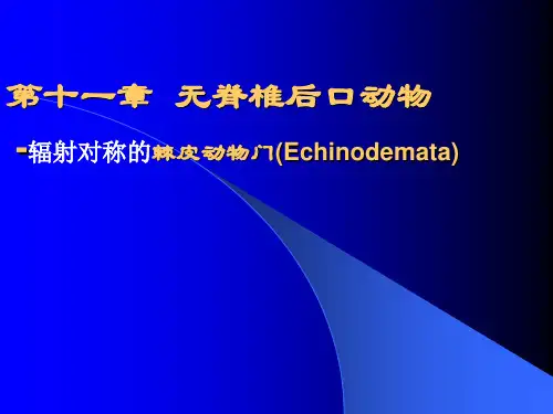 普通动物学课件四部分