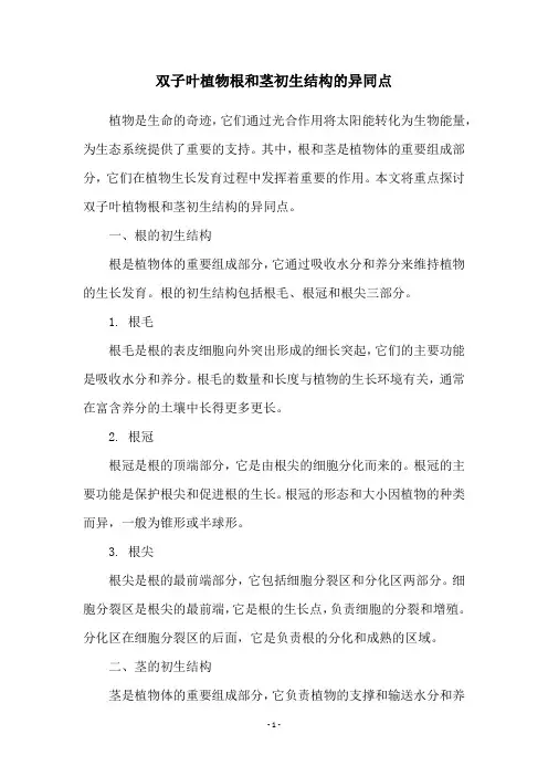 双子叶植物根和茎初生结构的异同点