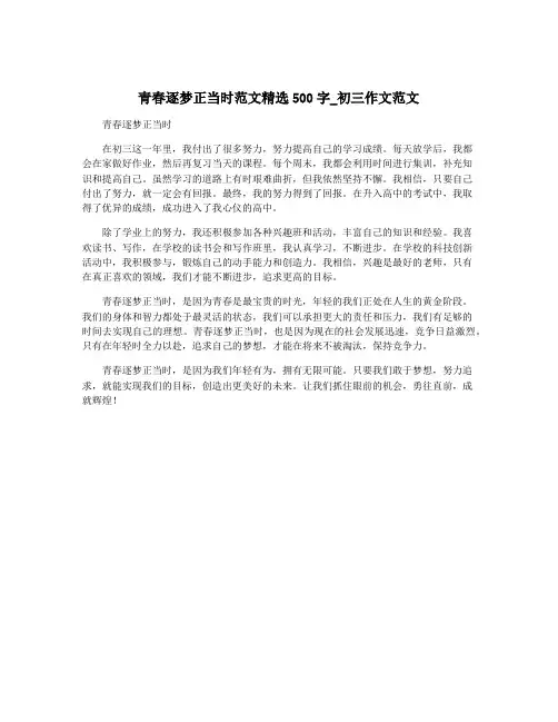 青春逐梦正当时范文精选500字_初三作文范文