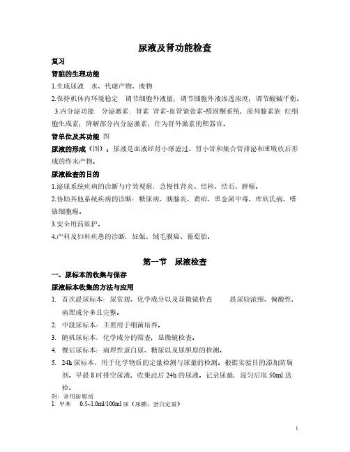 尿液及肾功能检查