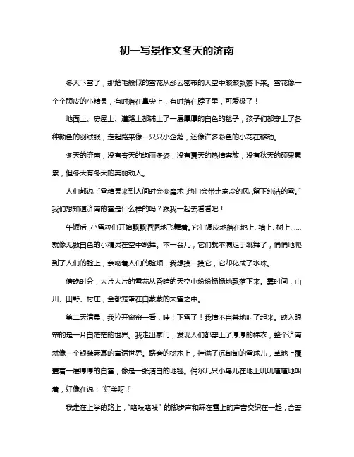 初一写景作文冬天的济南