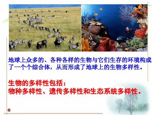 华东师大版科学七年级上册3.1《生物物种的多样性》 (共25张PPT)