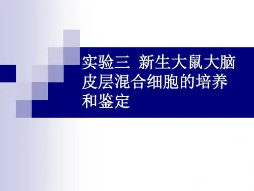 一哺乳动物细胞的培养冻存和融合