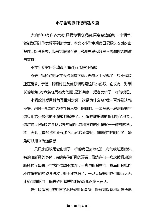 小学生观察日记精选5篇