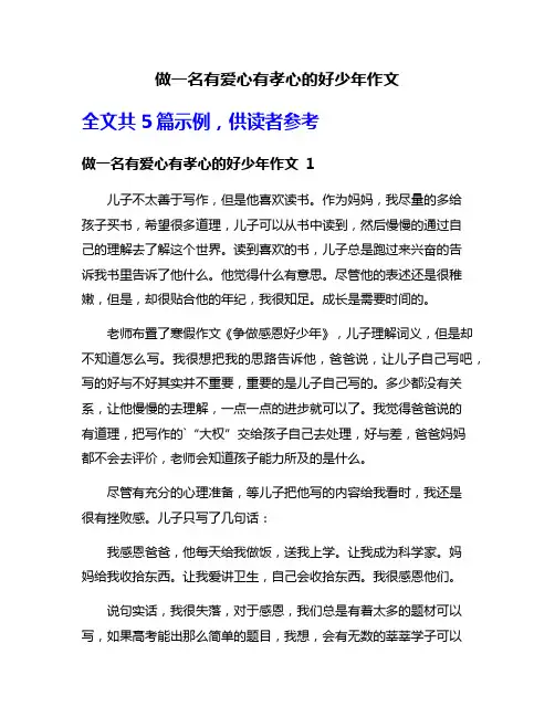 做一名有爱心有孝心的好少年作文