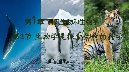 2024年秋新北师大版七年级上册生物课件 第1章 认识生物和生物学 第2节 生物学是探索生命的科学 