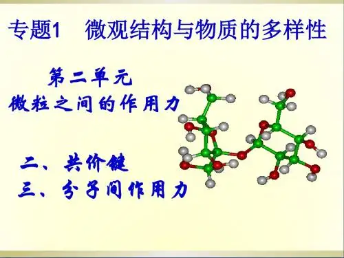高一化学共价键课件