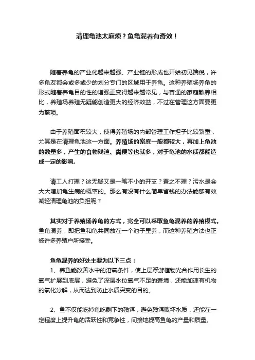 清理龟池太麻烦？鱼龟混养有奇效！