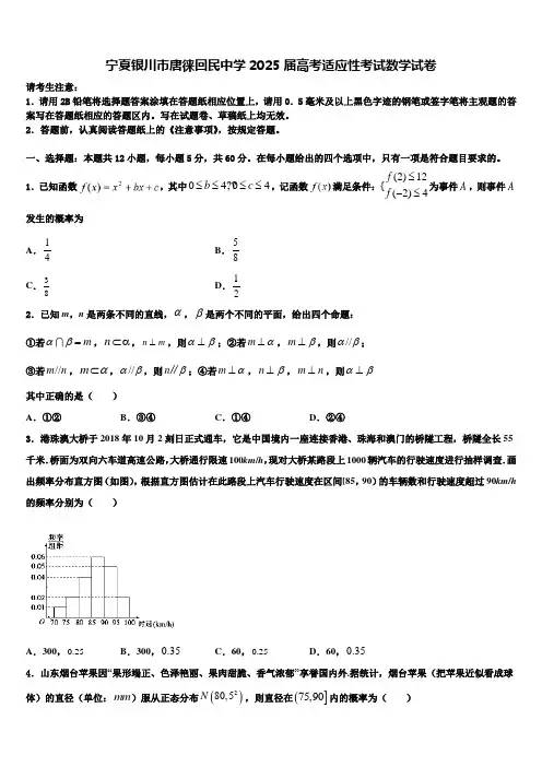宁夏银川市唐徕回民中学2025届高考适应性考试数学试卷含解析