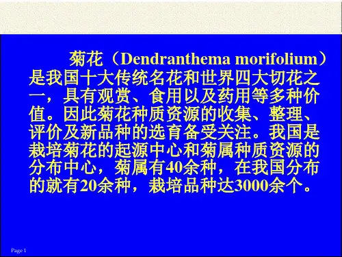 菊花种质资源与育种的研究共36页文档