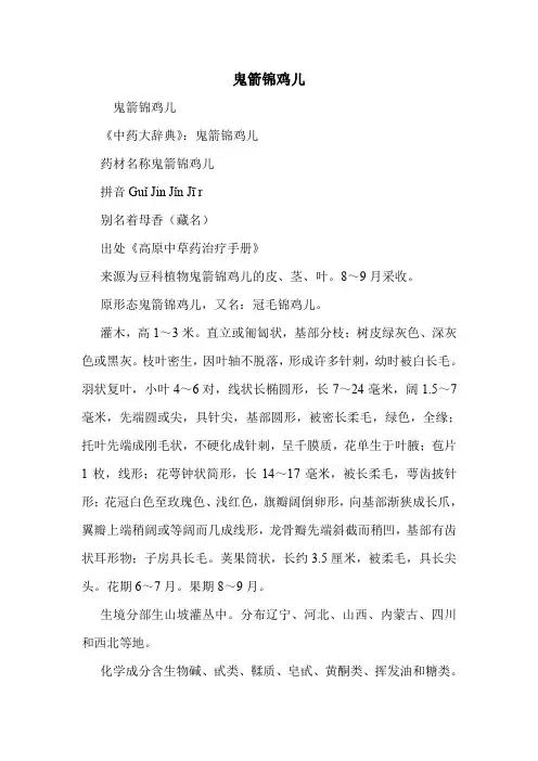 鬼箭锦鸡儿的药用价值