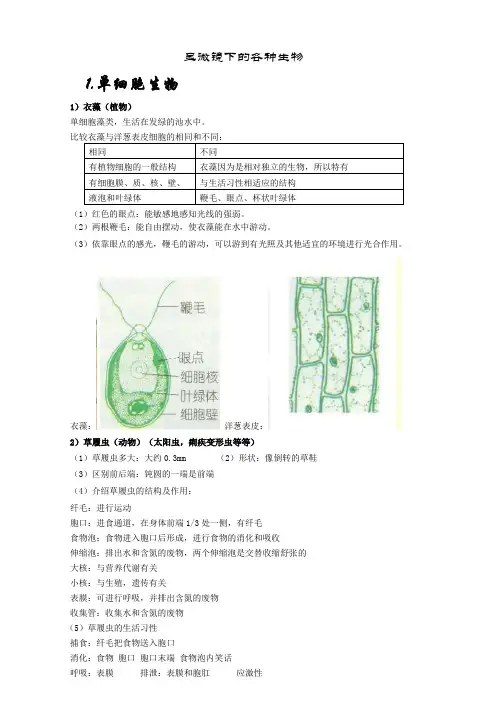 显微镜下的各种生物