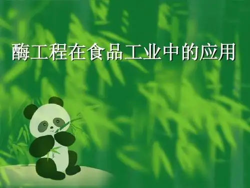 酶在食品中应用(new )