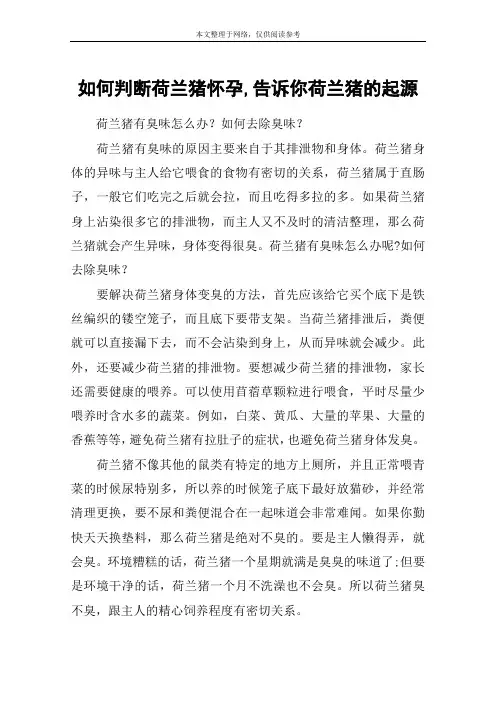 如何判断荷兰猪怀孕,告诉你荷兰猪的起源