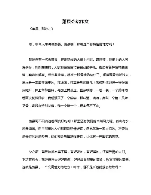萧县介绍作文