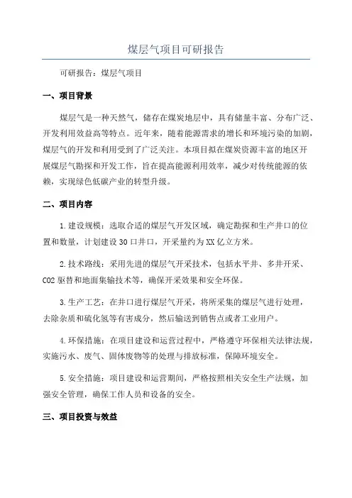 煤层气项目可研报告