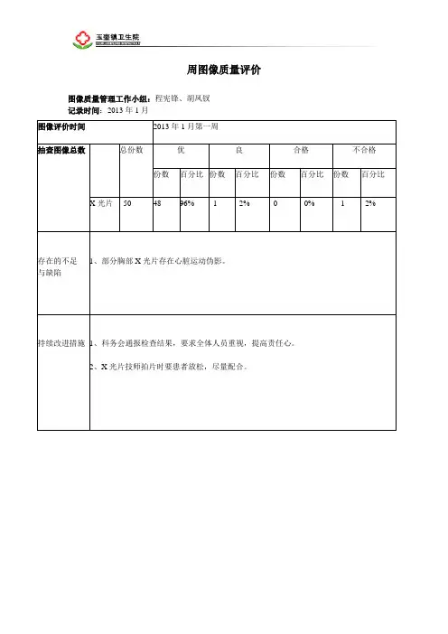 (周)放射图像质量评价表_2013年度资料
