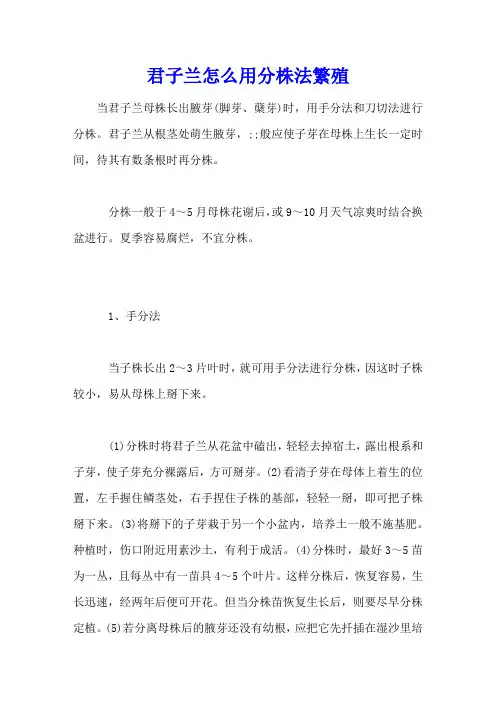 君子兰怎么用分株法繁殖