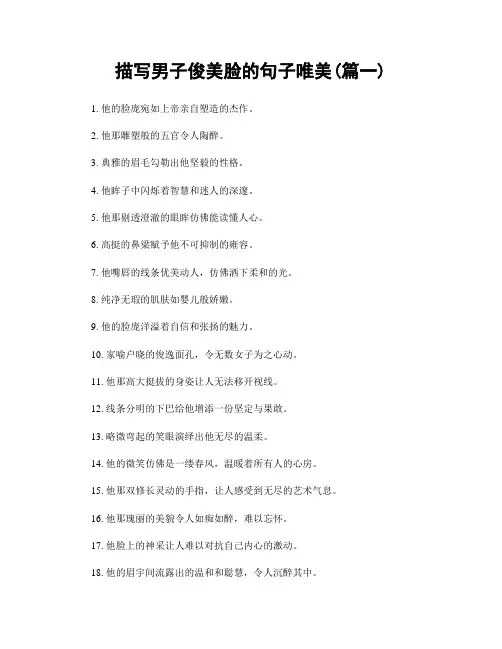 描写男子俊美脸的句子唯美(精选2篇)