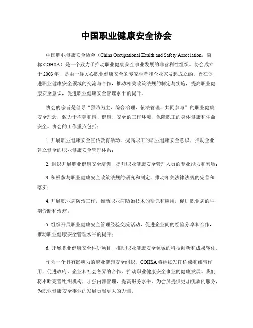 中国职业健康安全协会