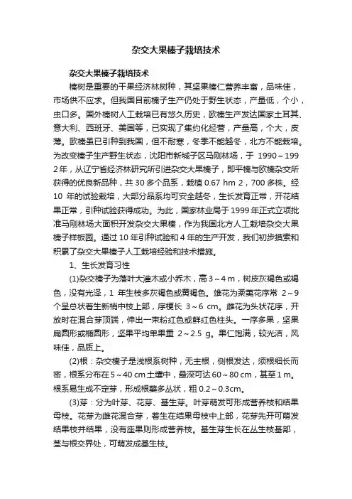 杂交大果榛子栽培技术