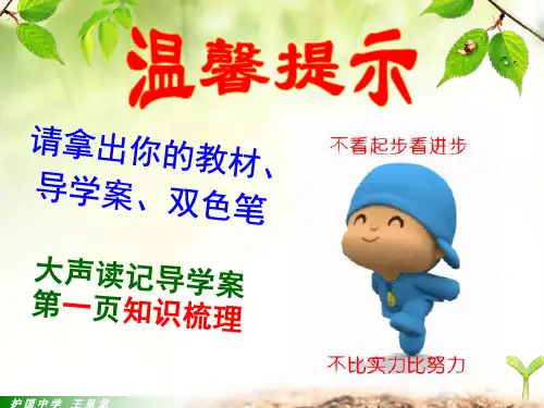 冷战局面的形成ppt