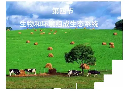 人教版七年级上_生物与环境组成生态系统课件