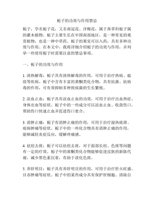 栀子的功效与作用禁忌