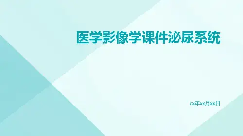 医学影像学课件泌尿系统