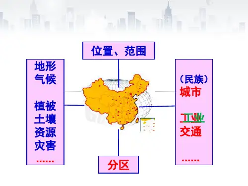 地理高考第一轮复习之中国地理 工业ppt实用课件
