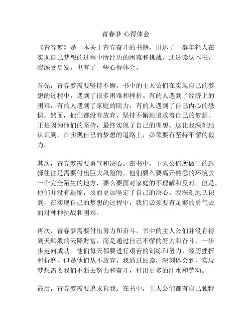 青春梦 心得体会