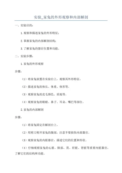 实验_家兔的外形观察和内部解剖