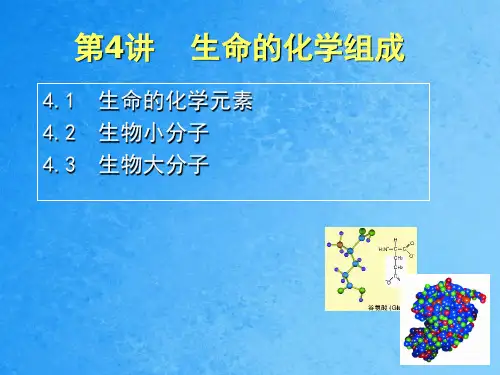 第四讲生命的化学组成ppt课件