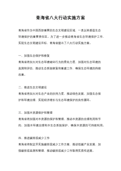 青海省八大行动实施方案