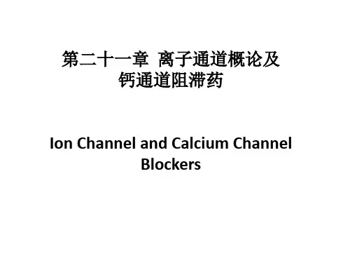《药理学》第21章离子通道概论及钙通道阻滞药