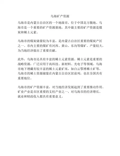 乌海矿产资源