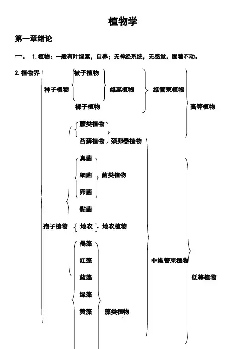植物学知识点总结复习资料